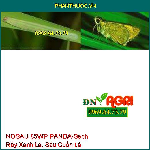 NOSAU 85WP PANDA-Sạch Rầy Xanh Lá, Sâu Cuốn Lá