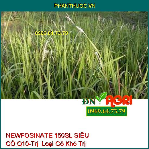 NEWFOSINATE 150SL SIÊU CỎ Q10-Trị Loại Cỏ Khó Trị