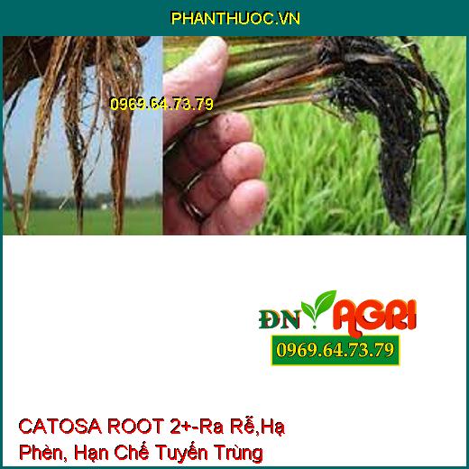 CATOSA ROOT 2+-Ra Rễ,Hạ Phèn, Hạn Chế Tuyến Trùng