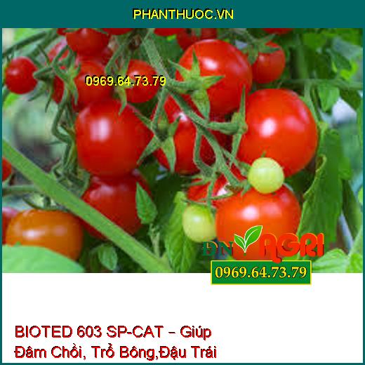 BIOTED 603 SP-CAT – Giúp Đâm Chồi, Trổ Bông,Đậu Trái