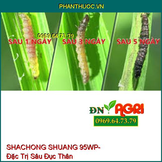 SHACHONG SHUANG 95WP- Đặc Trị Sâu Đục Thân