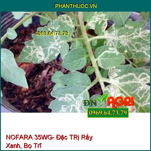 NOFARA 35WG- Đặc TRị Rầy Xanh, Bọ Trĩ