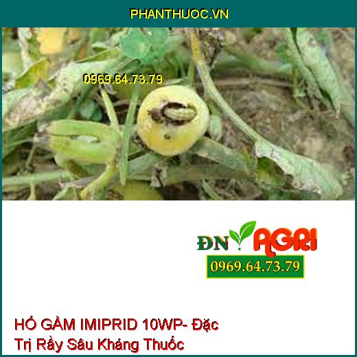 HỔ GẦM IMIPRID 10WP- Đặc Trị Rầy Sâu Kháng Thuốc