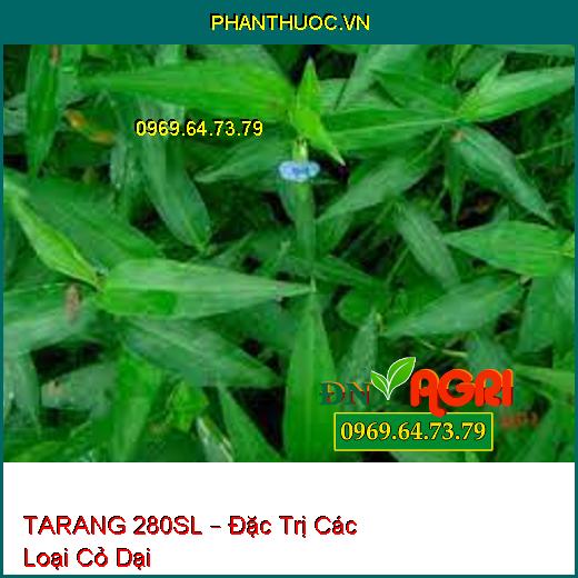 TARANG 280SL – Đặc Trị Các Loại Cỏ Dại