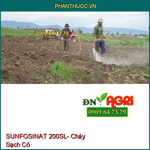 SUNFOSINAT 200SL- Cháy Sạch Cỏ