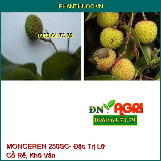 MONCEREN 250SC- Đặc Trị Lỡ Cổ Rễ, Khô Vằn