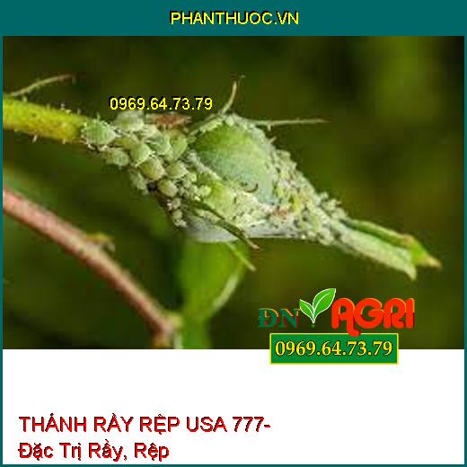 THÁNH RẦY RỆP USA 777- Đặc Trị Rầy, Rệp