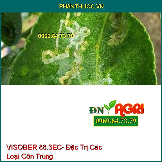 VISOBER 88.3EC- Đặc Trị Các Loại Côn Trùng