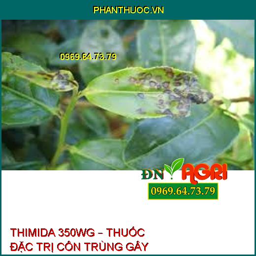 THIMIDA 350WG – THUỐC ĐẶC TRỊ CÔN TRÙNG GÂY HẠI