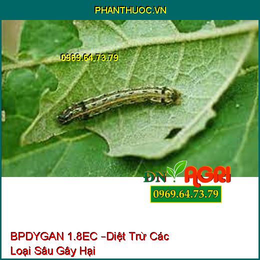 BPDYGAN 1.8EC –Diệt Trừ Các Loại Sâu Gây Hại