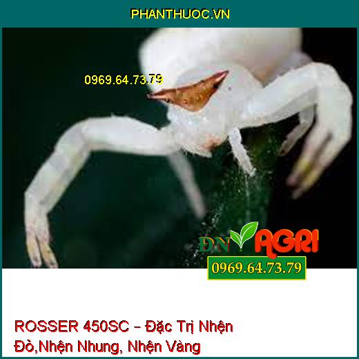 ROSSER 450SC – Đặc Trị Nhện Đỏ,Nhện Nhung, Nhện Vàng