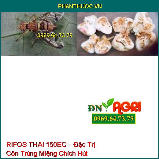 RIFOS THAI 150EC – Đặc Trị Côn Trùng Miệng Chích Hút