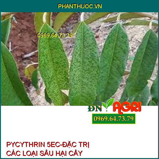 PYCYTHRIN 5EC-ĐẶC TRỊ CÁC LOẠI SÂU HẠI CÂY TRỒNG