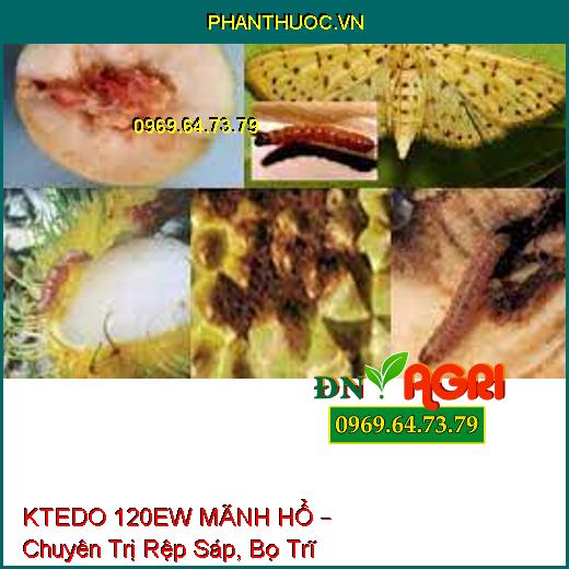 KTEDO 120EW MÃNH HỔ – Chuyên Trị Rệp Sáp, Bọ Trĩ