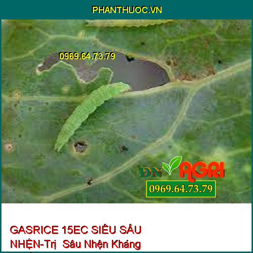 GASRICE 15EC SIÊU SÂU NHỆN-Trị Sâu Nhện Kháng Thuốc