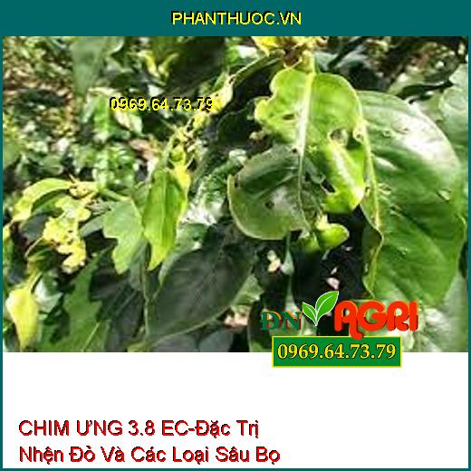 CHIM ƯNG 3.8 EC-Đặc Trị Nhện Đỏ Và Các Loại Sâu Bọ