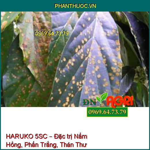 HARUKO 5SC – Đặc trị Nấm Hồng, Phấn Trắng, Thán Thư