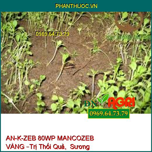 AN-K-ZEB 80WP MANCOZEB VÀNG –Trị Thối Quả, Sương Mai