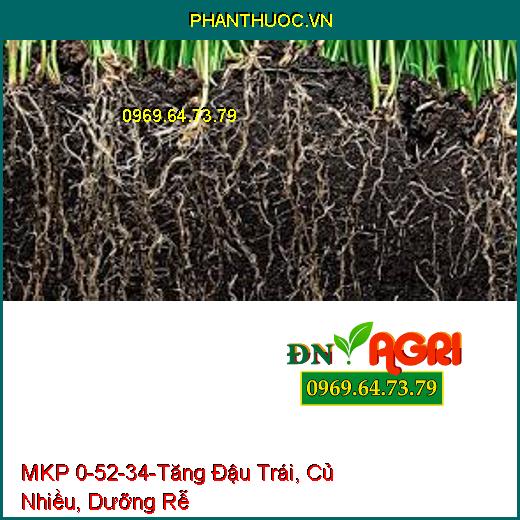 MKP 0-52-34-Tăng Đậu Trái, Củ Nhiều, Dưỡng Rễ