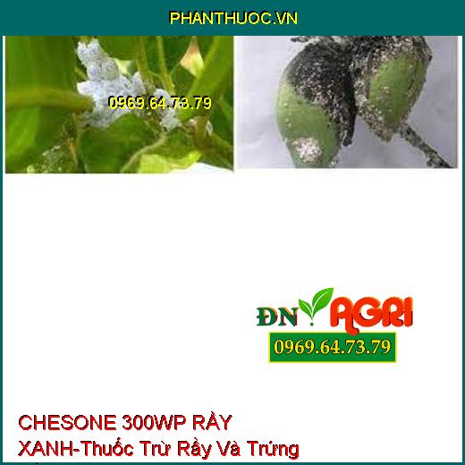 CHESONE 300WP RẦY XANH-Thuốc Trừ Rầy Và Trứng Rầy