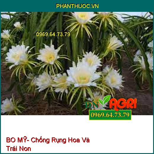 BO MỸ- Chống Rụng Hoa Và Trái Non