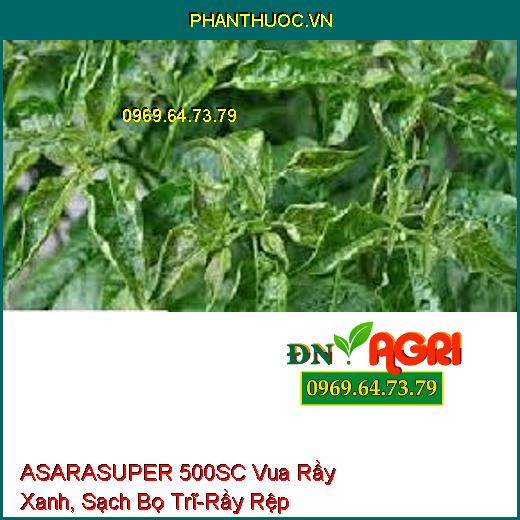 ASARASUPER 500SC Vua Rầy Xanh, Sạch Bọ Trĩ-Rầy Rệp