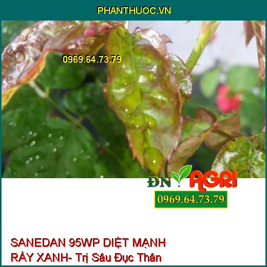 SANEDAN 95WP DIỆT MẠNH RẦY XANH- Trị Sâu Đục Thân