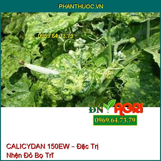 CALICYDAN 150EW – Đặc Trị Nhện Đỏ Bọ Trĩ