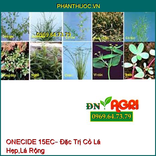 ONECIDE 15EC– Đặc Trị Cỏ Lá Hẹp,Lá Rộng