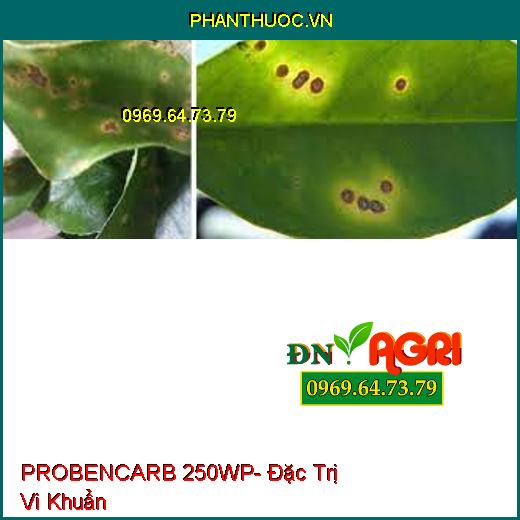 PROBENCARB 250WP- Đặc Trị Vi Khuẩn