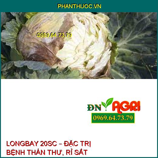 LONGBAY 20SC – ĐẶC TRỊ BỆNH THÁN THƯ, RỈ SẮT