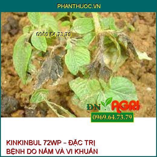 KINKINBUL 72WP – ĐẶC TRỊ BỆNH DO NẤM VÀ VI KHUẨN