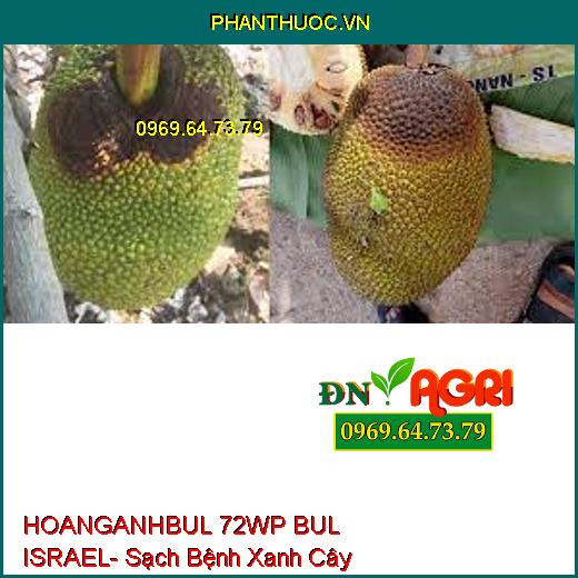 HOANGANHBUL 72WP BUL ISRAEL- Sạch Bệnh Xanh Cây