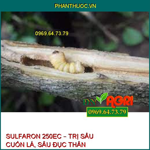 SULFARON 250EC – TRỊ SÂU CUỐN LÁ, SÂU ĐỤC THÂN