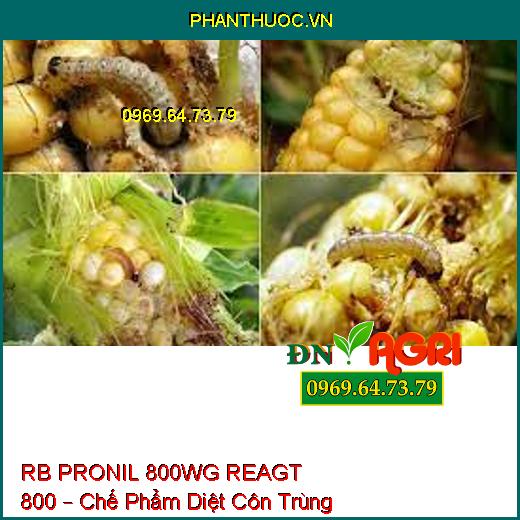 RB PRONIL 800WG REAGT 800 – Chế Phẩm Diệt Côn Trùng