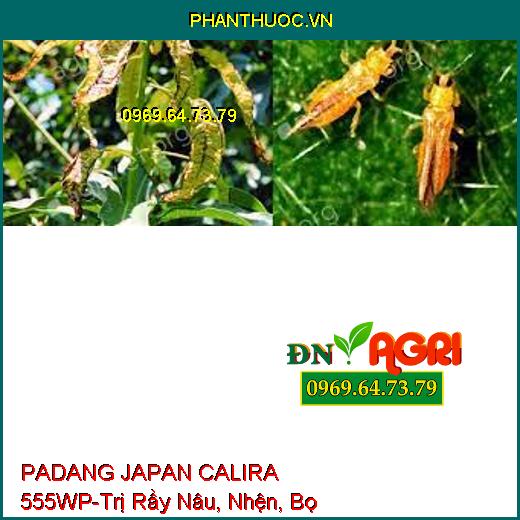 PADANG JAPAN CALIRA 555WP-Trị Rầy Nâu, Nhện, Bọ Trĩ