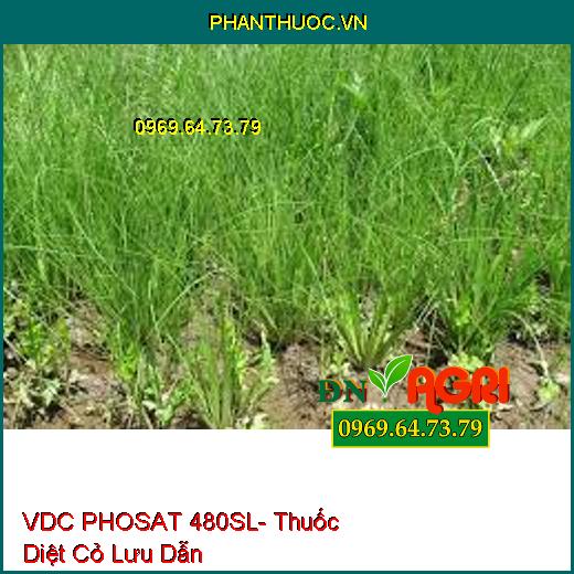 VDC PHOSAT 480SL- Thuốc Diệt Cỏ Lưu Dẫn