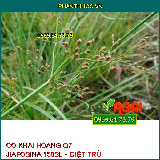 CỎ KHAI HOANG Q7 JIAFOSINA 150SL – DIỆT TRỪ CỎ