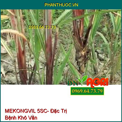 MEKONGVIL 5SC- Đặc Trị Bệnh Khô Vằn