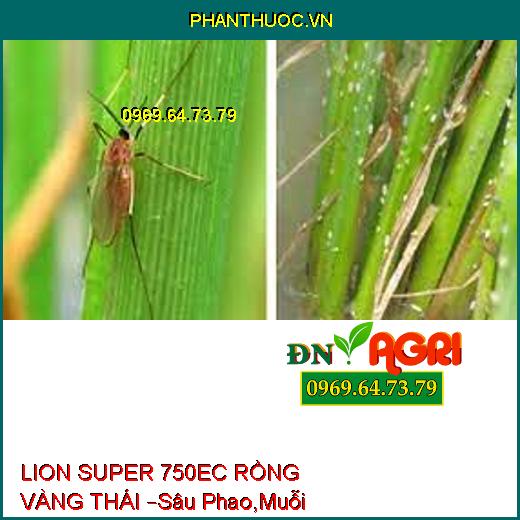 LION SUPER 750EC RỒNG VÀNG THÁI –Sâu Phao,Muỗi Hành