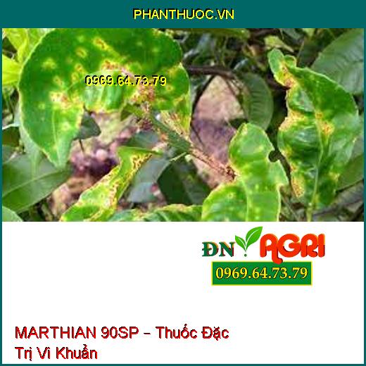 MARTHIAN 90SP – Thuốc Đặc Trị Vi Khuẩn