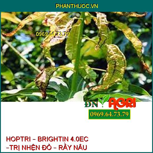 HOPTRI – BRIGHTIN 4.0EC –TRỊ NHỆN ĐỎ – RẦY NÂU