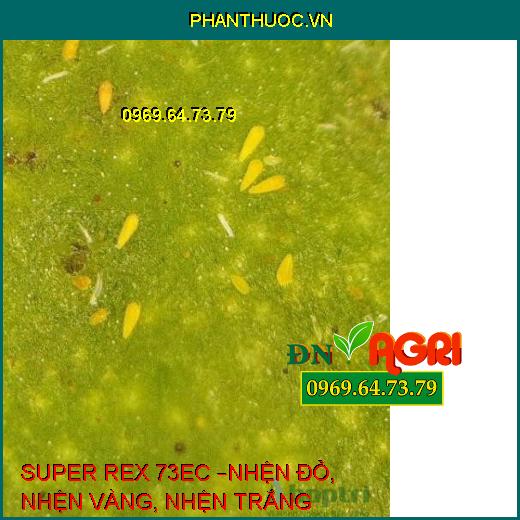 SUPER REX 73EC –NHỆN ĐỎ, NHỆN VÀNG, NHỆN TRẮNG