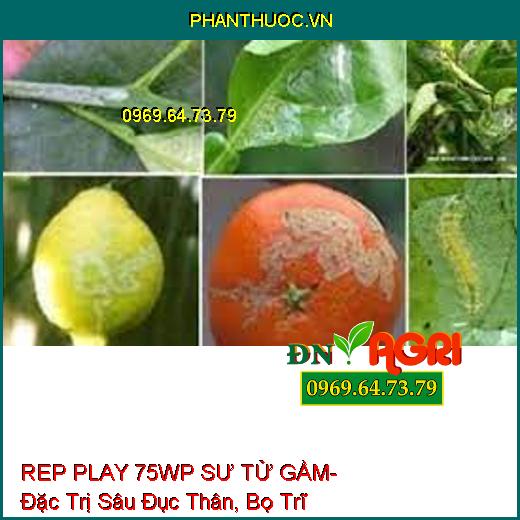 REP PLAY 75WP SƯ TỬ GẦM- Đặc Trị Sâu Đục Thân, Bọ Trĩ