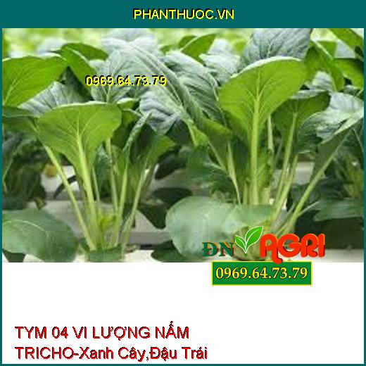 TYM 04 VI LƯỢNG NẤM TRICHO-Xanh Cây,Đậu Trái