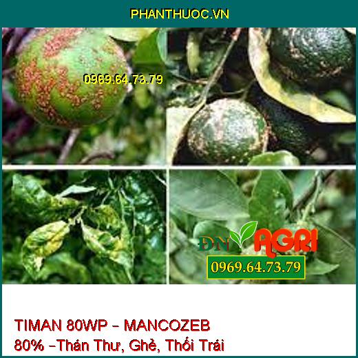 TIMAN 80WP – MANCOZEB 80% –Thán Thư, Ghẻ, Thối Trái