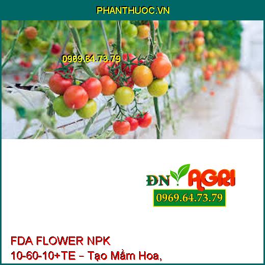 FDA FLOWER NPK 10-60-10+TE – Tạo Mầm Hoa, Kích Hoa