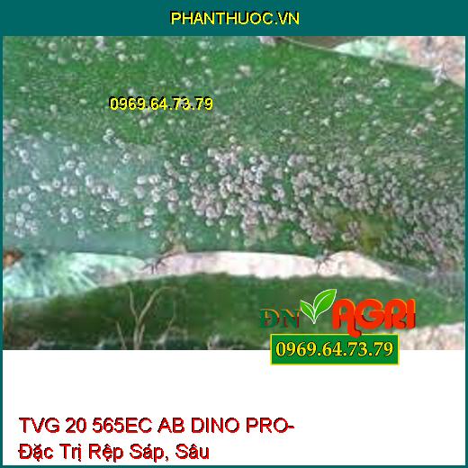 TVG 20 565EC AB DINO PRO- Đặc Trị Rệp Sáp, Sâu