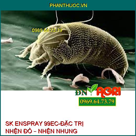 SK ENSPRAY 99EC-ĐẶC TRỊ NHỆN ĐỎ – NHỆN NHUNG