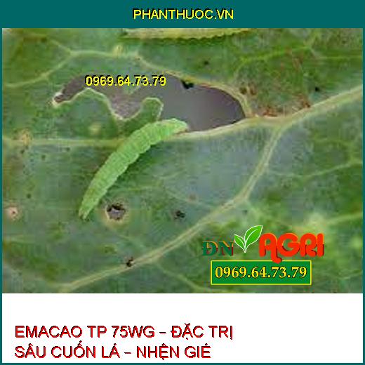 EMACAO TP 75WG – ĐẶC TRỊ SÂU CUỐN LÁ – NHỆN GIÉ